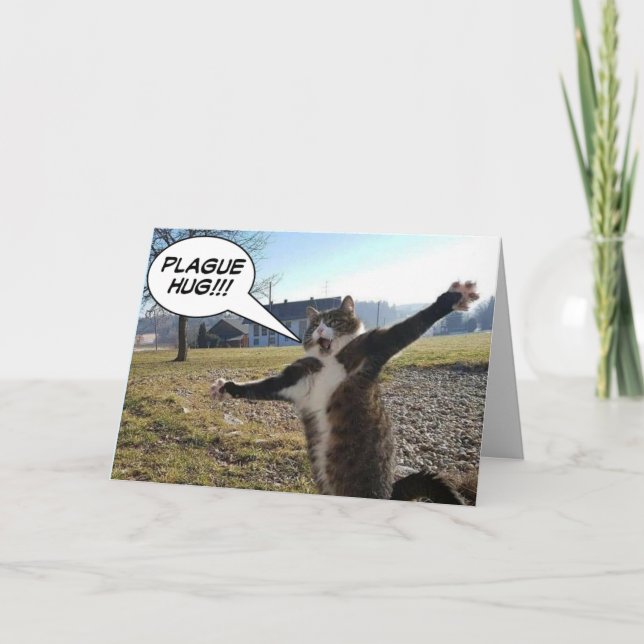 Miss Kort (Framsida)