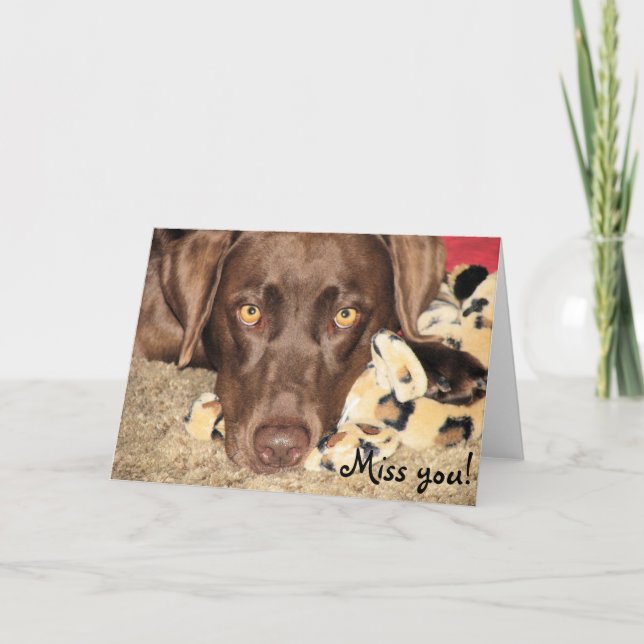 Miss! Kort (Framsida)