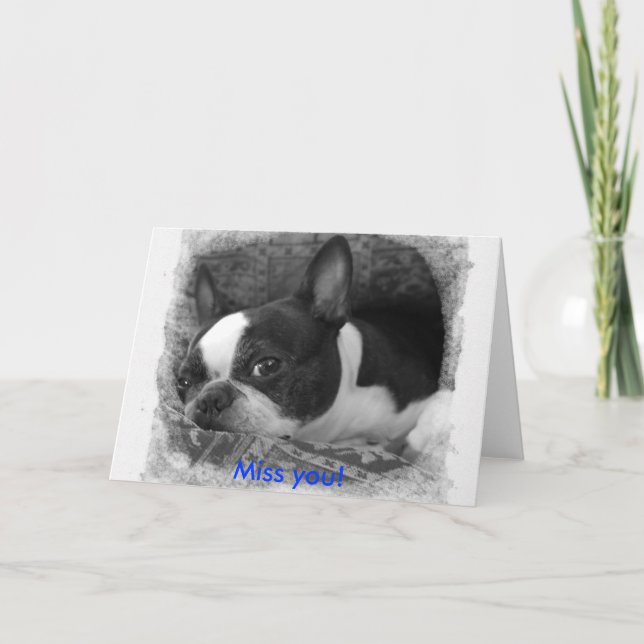 Miss! Kort (Framsida)