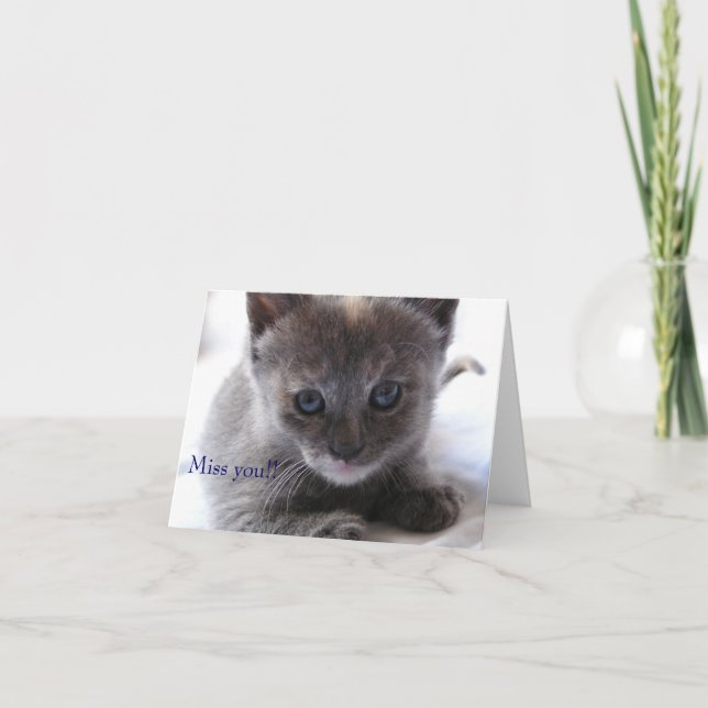 Miss! Kort (Framsida)