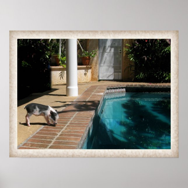 Miss Piggy i Paradise Poster (Framsidan)