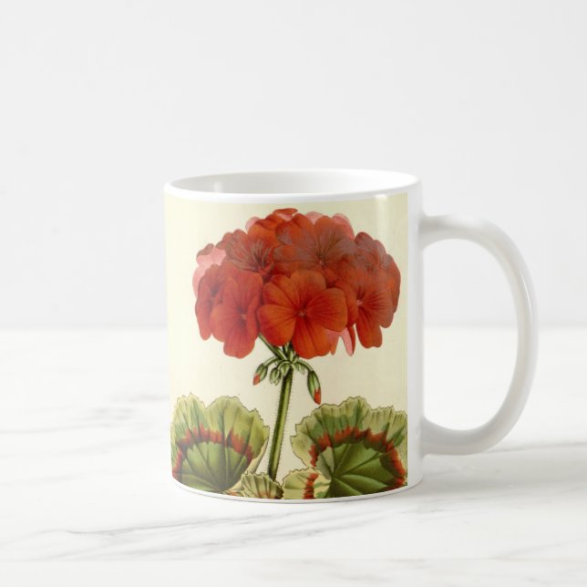 "Miss Pollack" Zonal Geranium Kaffemugg (Höger)