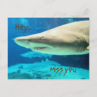 Miss Postcard!