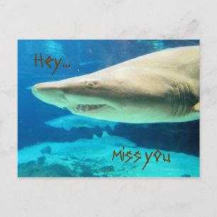 Miss Postcard! Vykort