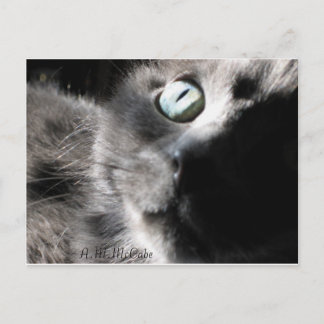 Miss Precious Vykort