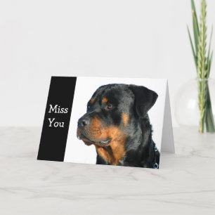 Miss Rottweiler Hund Greeting Card - Verse Kort