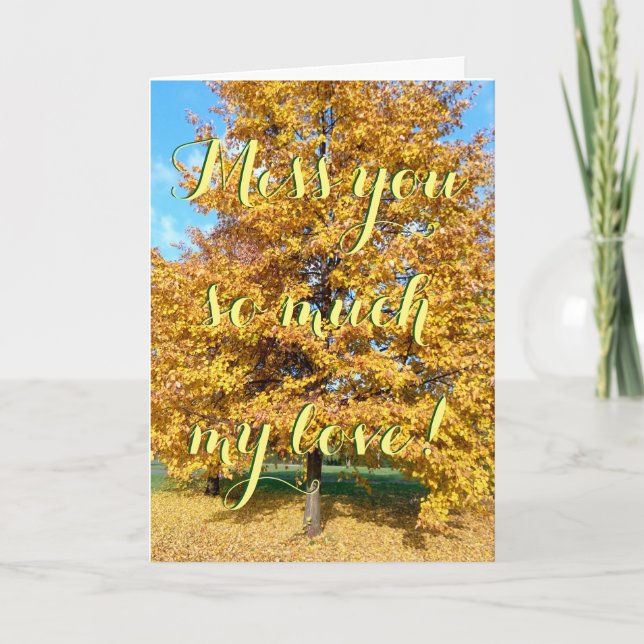 Miss så mycket min kärlek! kort (Framsida)