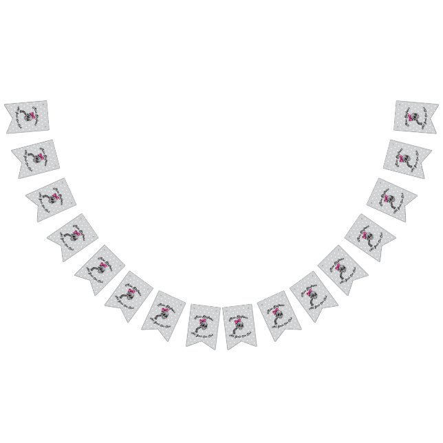 Miss Shifters Banner Vimplar (Alla)