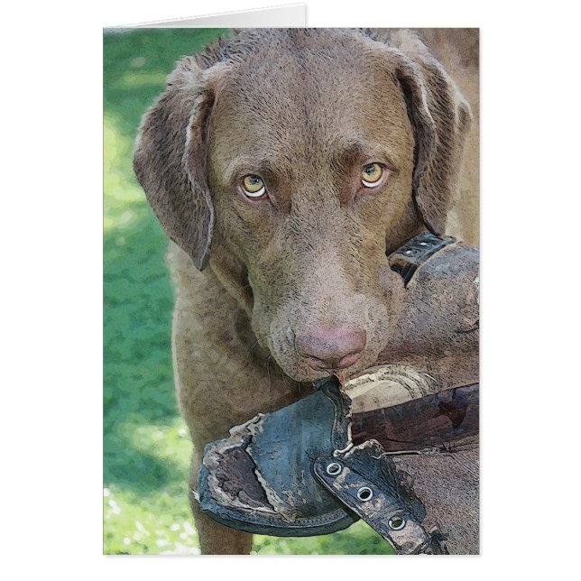 Miss SHOE! Hälsningskort (Framsidan)