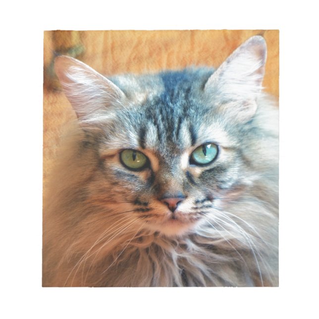 Miss Tootles Anteckningsblock (Framsida)