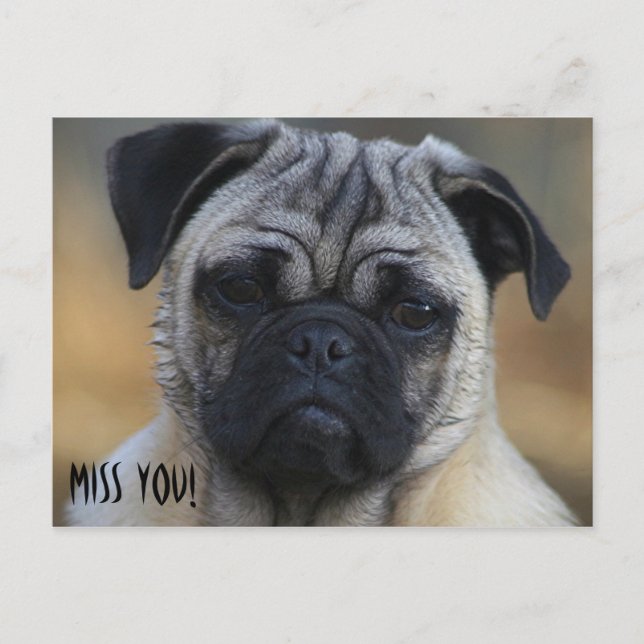 Miss! Vykort (Framsida)