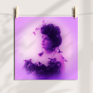 Miss Whitlock Lilac-affisch Poster