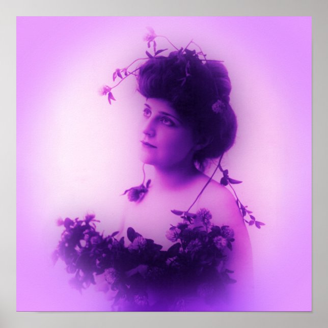 Miss Whitlock Lilac-affisch Poster (Framsidan)