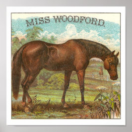 Miss Woodford Berömd Vintage American Racehorse Poster