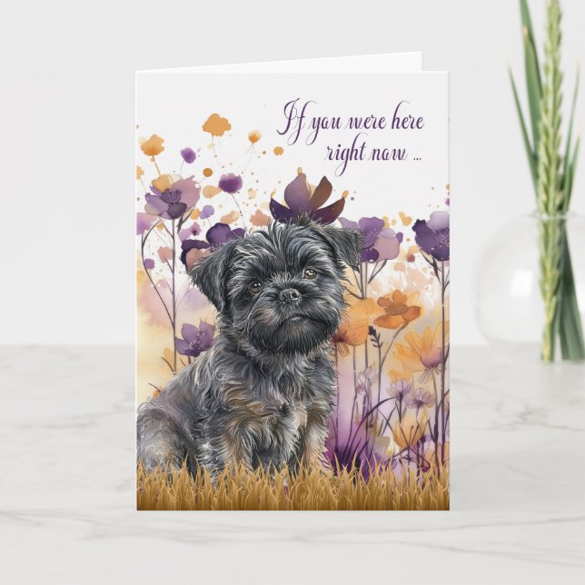 Miss You Affenpinscher Hund Wildblomskugga Kort (Framsida)