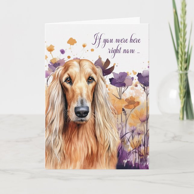 Miss You Afghan Hound Hund Wildblomme Meadow Kort (Framsida)