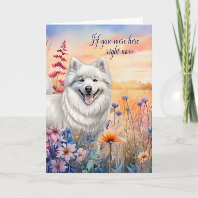 Miss You American Eskimo Hund Wildblomme Meadow Kort (Framsida)