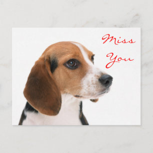 Miss You Beagle Puppy Hund Hälsning vykort