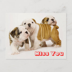Miss You Bulldog Puppy Hund Hälsning vykort