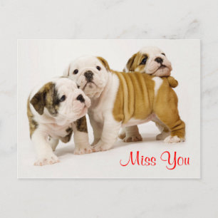 Miss You Bulldog Puppy Hundar Hälsning vykort