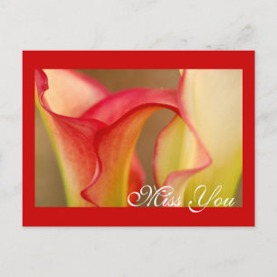 Miss You Calla Lily Postcard Vykort