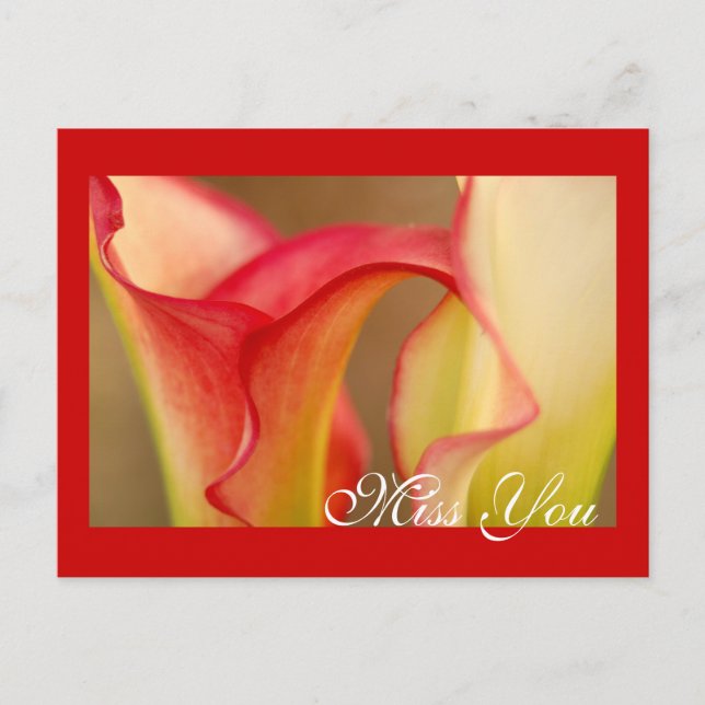 Miss You Calla Lily Postcard Vykort (Framsida)