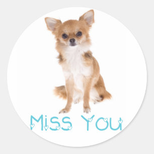 Miss You Chihuahua Puppy Hund-etikett Runt Klistermärke