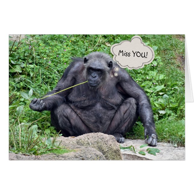 Miss You Chimpanzee Hälsningskort (Framsidan Horizontal)
