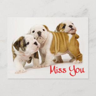 Miss You English Bulldog Puppy Hund Postcard Vykort
