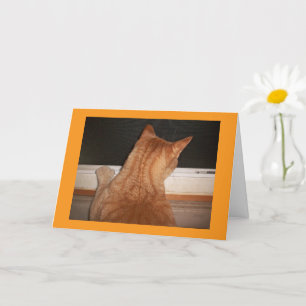 Miss You Greeting Card Kort