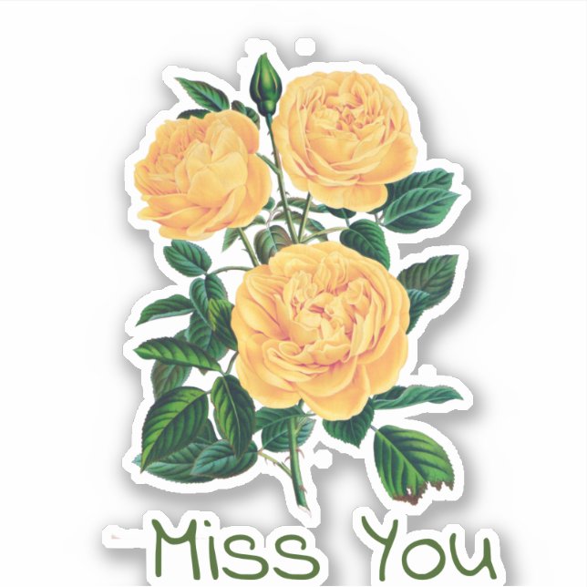 Miss You, Gul ros Design, Klistermärken (Framsida)