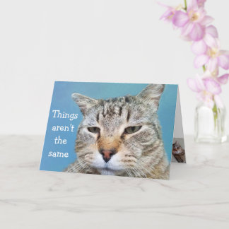 Miss You Lonely Cat Kort