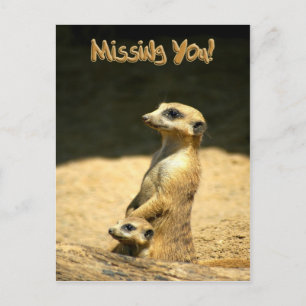 Miss You Postcard Vykort