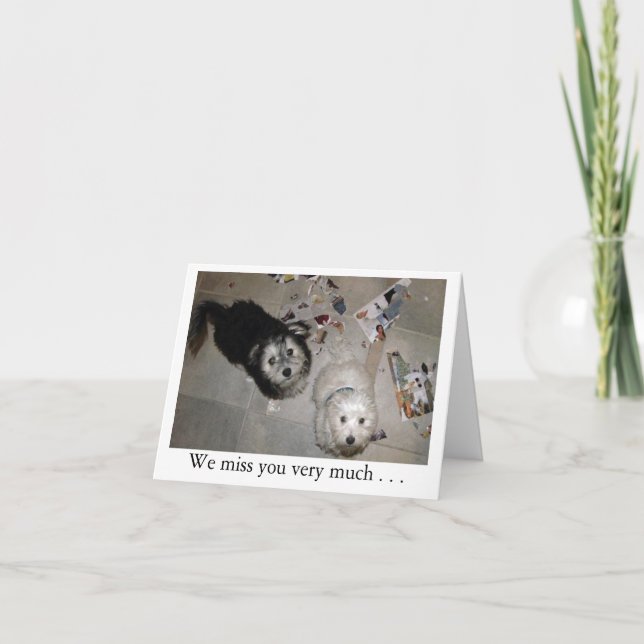 Miss You Puppies Kort (Framsida)