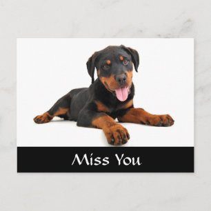 Miss You Rottweiler Puppy Hund Hälsning vykort