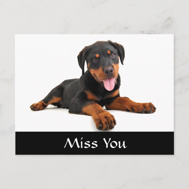 Miss You Rottweiler Puppy Hund Hälsning vykort (Framsida)