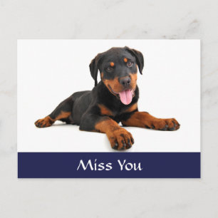 Miss You Rottweiler Puppy Hund Hälsning vykort