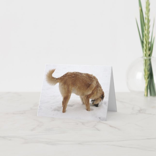 Miss You så mycket, jag agerar Konstig - Western Kort (Framsida)