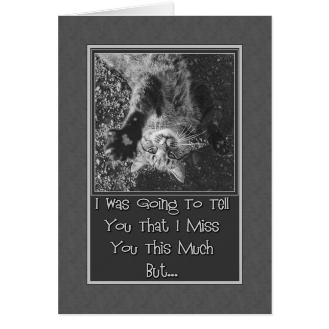 Miss You Stretching Kattunge Hälsningskort (Framsidan)