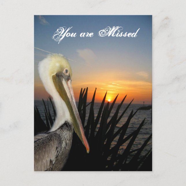 Miss You_ vykort (Framsida)