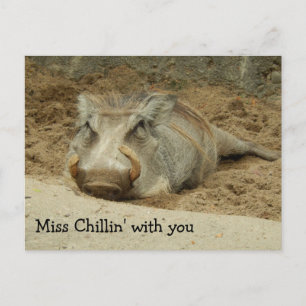 Miss You Wathog Postcard Vykort