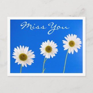 Miss You White Daisy Blommigt Hälsning vykort