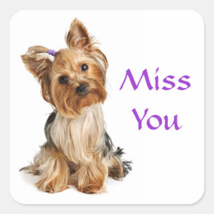 Miss You Yorkshire Terrier Puppy Hund Stickers Fyrkantigt Klistermärke