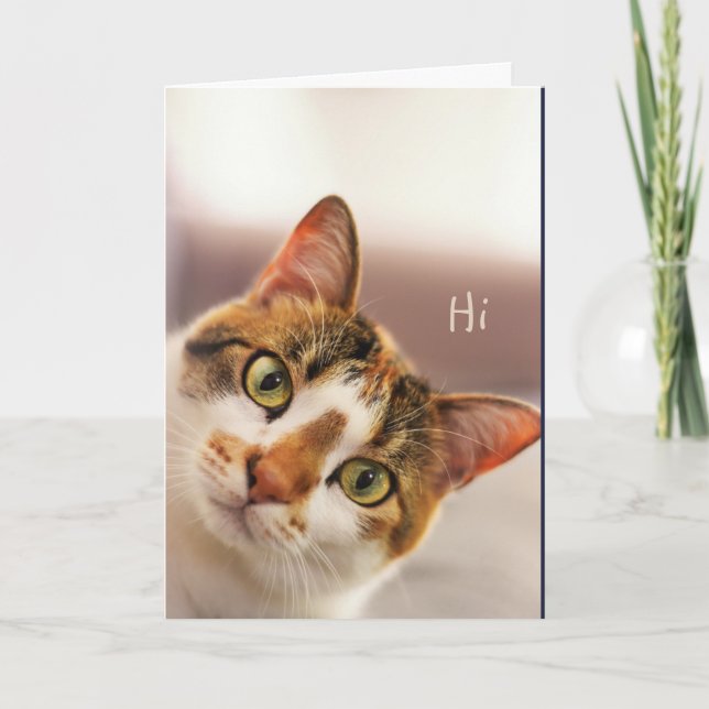 Missa dig, Cute Cat Kitten Animal Funny Kort (Framsida)