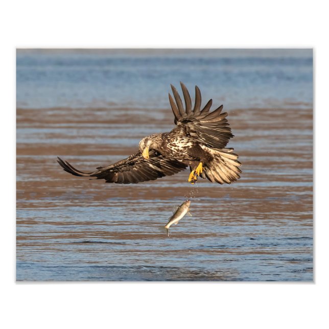 Missad affärsmöjlighet fototryck (Framsidan)