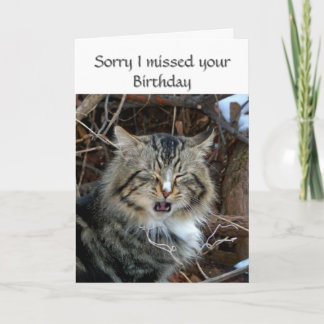 Missat födelsedags gratulationskort med kattfoto kort