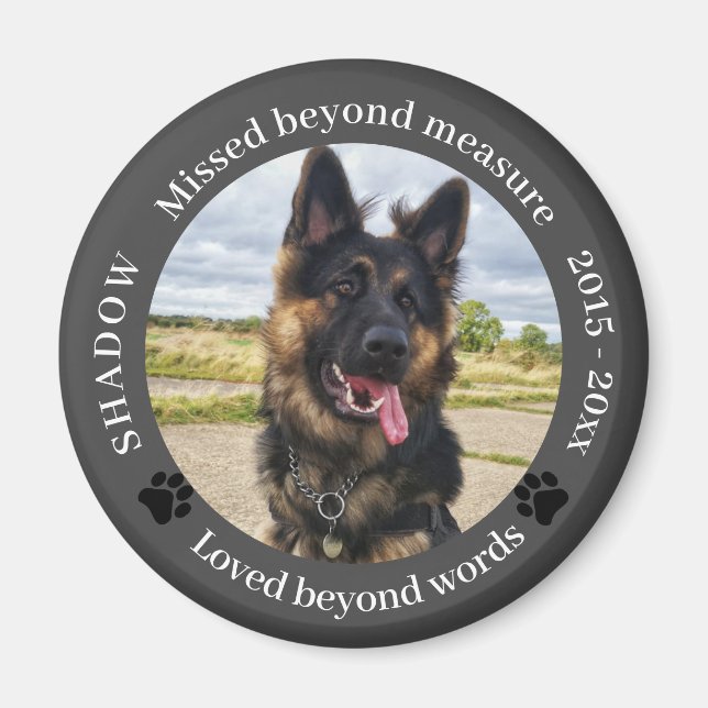 Missat utöver måttet Pet Photo Memorial Magnet (Framsidan)