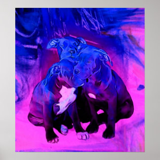 Missbruk av Pit Bull Puppy Hundar, Faith, Hope & C Poster