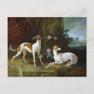 Misse och Turlu, två greyhound of Louis XV Vykort