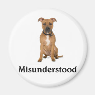 Missförstod Pitbull - Magnet
